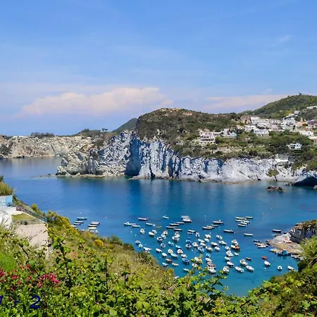 Maridea - Di Cala Feola
